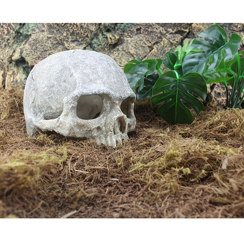 Aquarium Decor Accessories, Skull Skeleton Statue, Lizard Hideout, Lizard Cave, Glass Container for Aquarium, Reptile Hideaway Cave, Suitable for Aquarium Fish Tank Landscape Decoration Reptile Habita