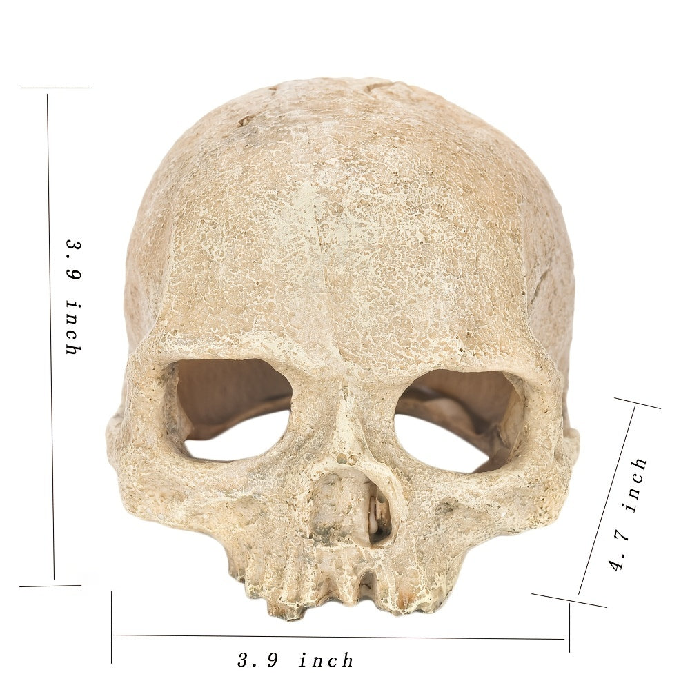 Aquarium Decor Accessories, Skull Skeleton Statue, Lizard Hideout, Lizard Cave, Glass Container for Aquarium, Reptile Hideaway Cave, Suitable for Aquarium Fish Tank Landscape Decoration Reptile Habita